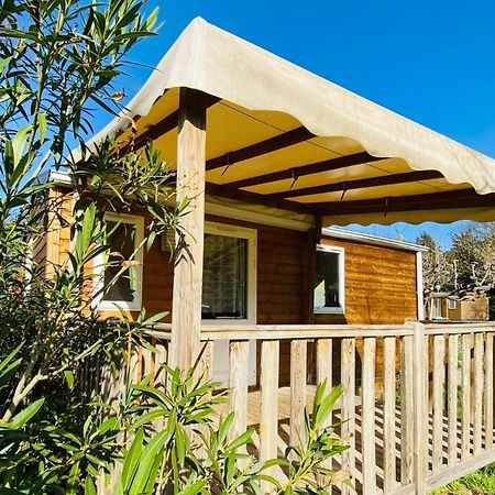 Amelia Camping Amelie-les-Bains-Palalda ภายนอก รูปภาพ