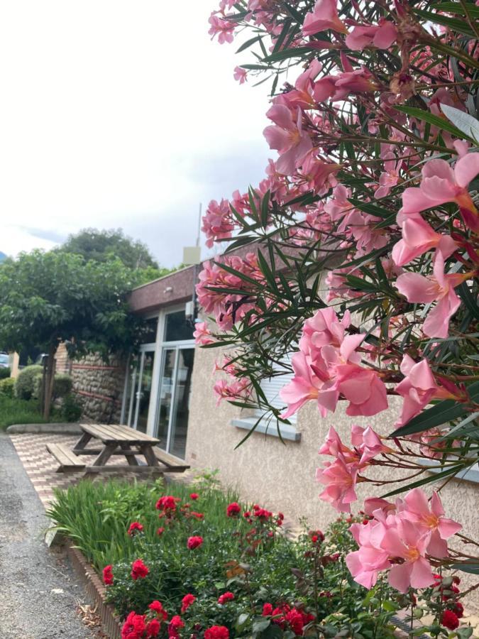 Amelia Camping Amelie-les-Bains-Palalda ภายนอก รูปภาพ
